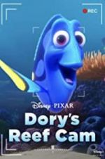 Watch Dory\'s Reef Cam Vodly