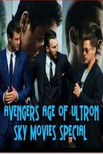 Watch Avengers Age of Ultron Sky Movies Special Vodly