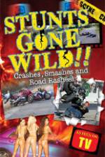 Watch Stunts Gone Wild: Crashes, Smashes & Road Rashes! Vodly