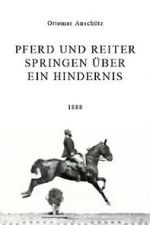 Watch Pferd und Reiter Springen ber ein Hindernis Vodly