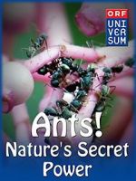 Watch Ants: Nature\'s Secret Power Vodly