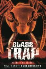 Watch Glass Trap Vodly