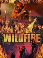 Watch Wild Fire Vodly