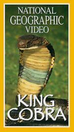 Watch King Cobra Vodly