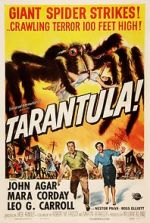 Watch Tarantula Vodly