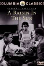 Watch A Raisin in the Sun Vodly