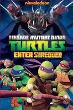 Watch Teenage Mutant Ninja Turtles: Enter Shredder Vodly