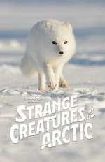 Watch Strange Creatures of the Arctic (TV Special 2022) Vodly