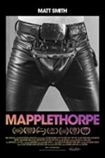 Watch Mapplethorpe Vodly