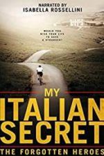 Watch My Italian Secret: The Forgotten Heroes Vodly