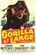 Watch Gorilla at Large Vodly