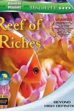 Watch Equator Reefs of Riches Vodly