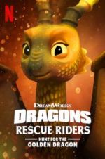 Watch Dragons: Rescue Riders: Hunt for the Golden Dragon Vodly