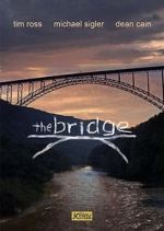 Watch The Bridge Vodly