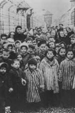 Watch AUSCHWITZ: LIBERATION AND REVENGE Vodly