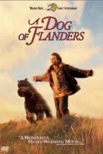 Watch A Dog of Flanders Vodly