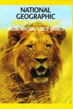 Watch National Geographic: Walking with Lions Vodly