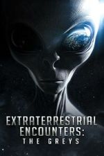 Watch Extraterrestrial Encounters: The Greys Vodly