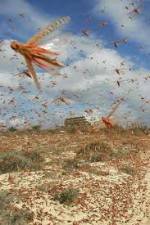 Watch Swarm Chasers: Locusts Vodly