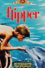 Watch Flipper Vodly