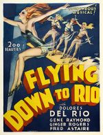 Watch Flying Down to Rio Vodly
