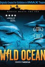 Watch Wild Ocean Vodly