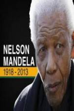 Watch Nelson Mandela: The Final Chapter Vodly