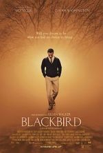 Watch Blackbird Vodly