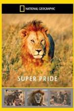 Watch National Geographic: Super Pride  Africa's Largest Lion Pride Vodly