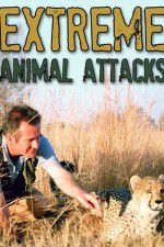 Watch Extreme Animal Attacks Vodly