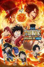Watch One Piece: Episode of Sabo - Bond of Three Brothers, a Miraculous Reunion and an Inherited Will Vodly