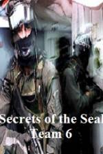 Watch Discovery Channel Secrets of Seal Team 6 Vodly