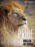 Watch Pride - Ruler\'s at Risk Vodly