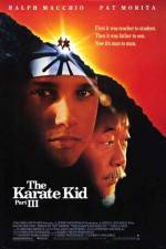 Watch The Karate Kid, Part III Vodly