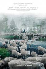 Watch Sweetgrass Vodly