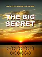 Watch The Big Secret Vodly