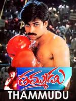 Watch Thammudu Vodly