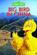 Watch Big Bird in China Vodly