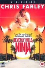 Watch Beverly Hills Ninja Vodly
