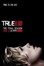 Watch True Blood Vodly