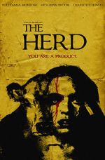 Watch The Herd Vodly