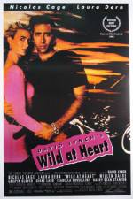 Watch Wild at Heart Vodly