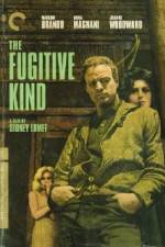 Watch The Fugitive Kind Vodly