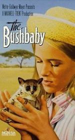 Watch The Bushbaby Vodly