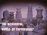 Watch The Wonderful World of Tupperware (Short 1965) Vodly