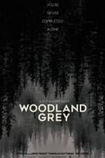 Watch Woodland Grey Vodly