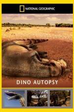 Watch National Geographic Dino Autopsy ( 2010 ) Vodly