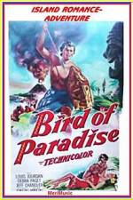 Watch Bird of Paradise Vodly