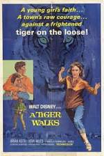 Watch A Tiger Walks Vodly