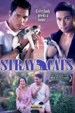 Watch Stray Cats Vodly